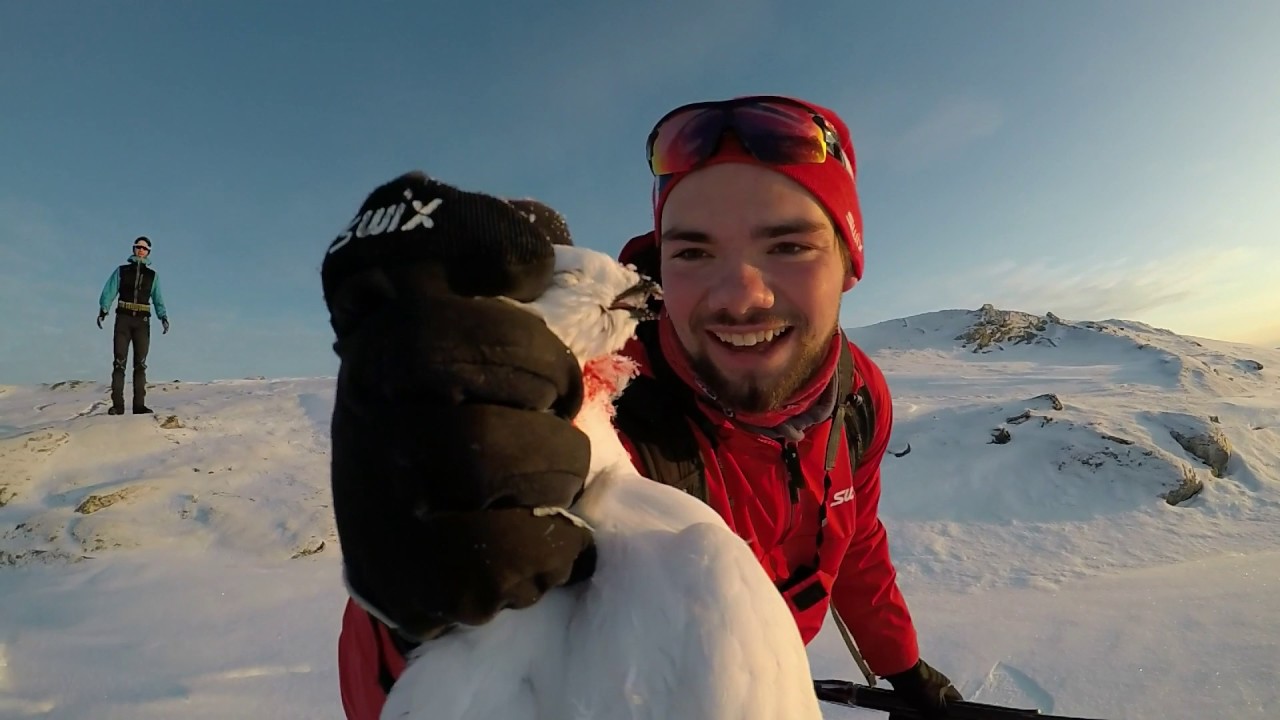 Tips til Rypejakt på vinteren 2016