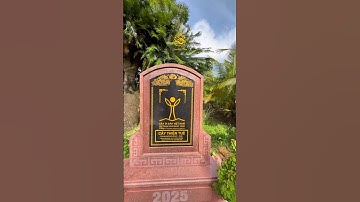 Cây Thiên Tuế “siêu to khổng lồ” được công nhận là Cây Di Sản Việt Nam ở Bến Tre|Vùng Đất Rồng