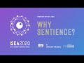 ISEA2020 Why Sentience Recap Video ISEA2020 Why Sentience Recap Video