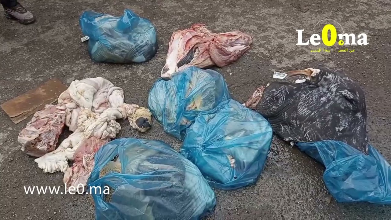 بائع اللحوم الفاسدة يلوذ بالفرار بعد مداهمة السلطات المحلية أمام أبواب المجزرة الحضرية الهراويين