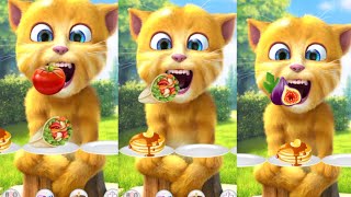  🎻 Ginger’s Soft Violin Sound Reaction 🎻 screenshot 4