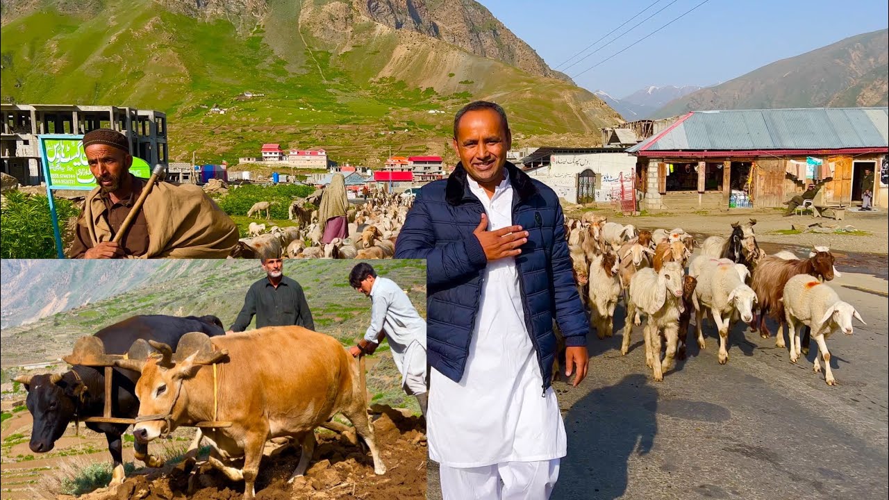 Village life in Naran |  Makki Ki Roti Aur Saag |  Village Life in Khyber Pakhtoon Khawa |  Mubashir