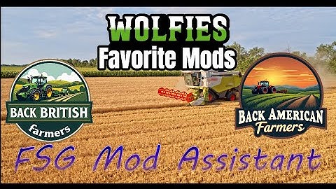Useful Mods | FSG Mod Assistant - My Setup | FS25