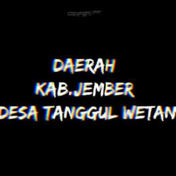 Kota Kelahiran Tanggul