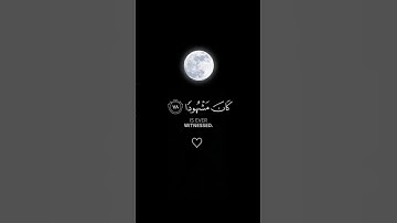 #قرآن #تلاوة_خاشعة #اداء_مهيب #ياسر_الدوسري #ارح_قلبك #quran #اكتب_شيئ_تؤجر_عليه