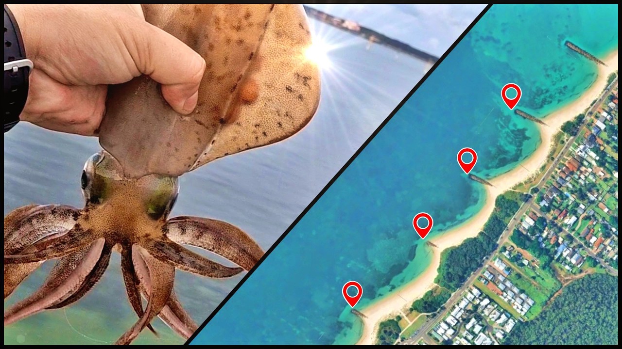 How to Catch Squid: Techniques and Tips for Kurnell, Botany Bay