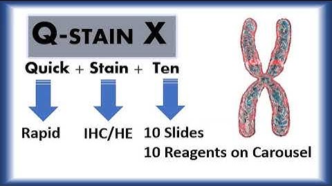 Automatic Tissue Stainer QStain-X & Pretreatment Instrument DewaxAR
