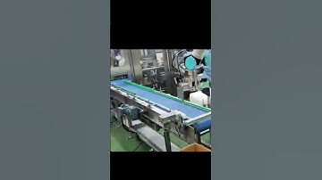 Palletizing robot palletizing case application