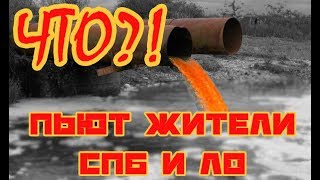 Какую воду пьют петербуржцы? Как канализационные стоки и нечистоты попадают в Неву