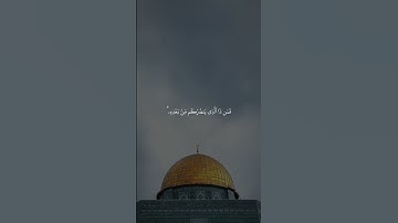#قرآن #اكسبلور #quran #قران_كريم #ياسر_الدوسري #تلاوة_خاشعة #الحناجر_الذهبيه #راحة_نفسية #المصحف