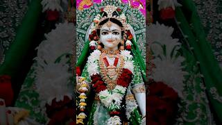 When I See Radha Ji Green Poshaak Shorts 4K