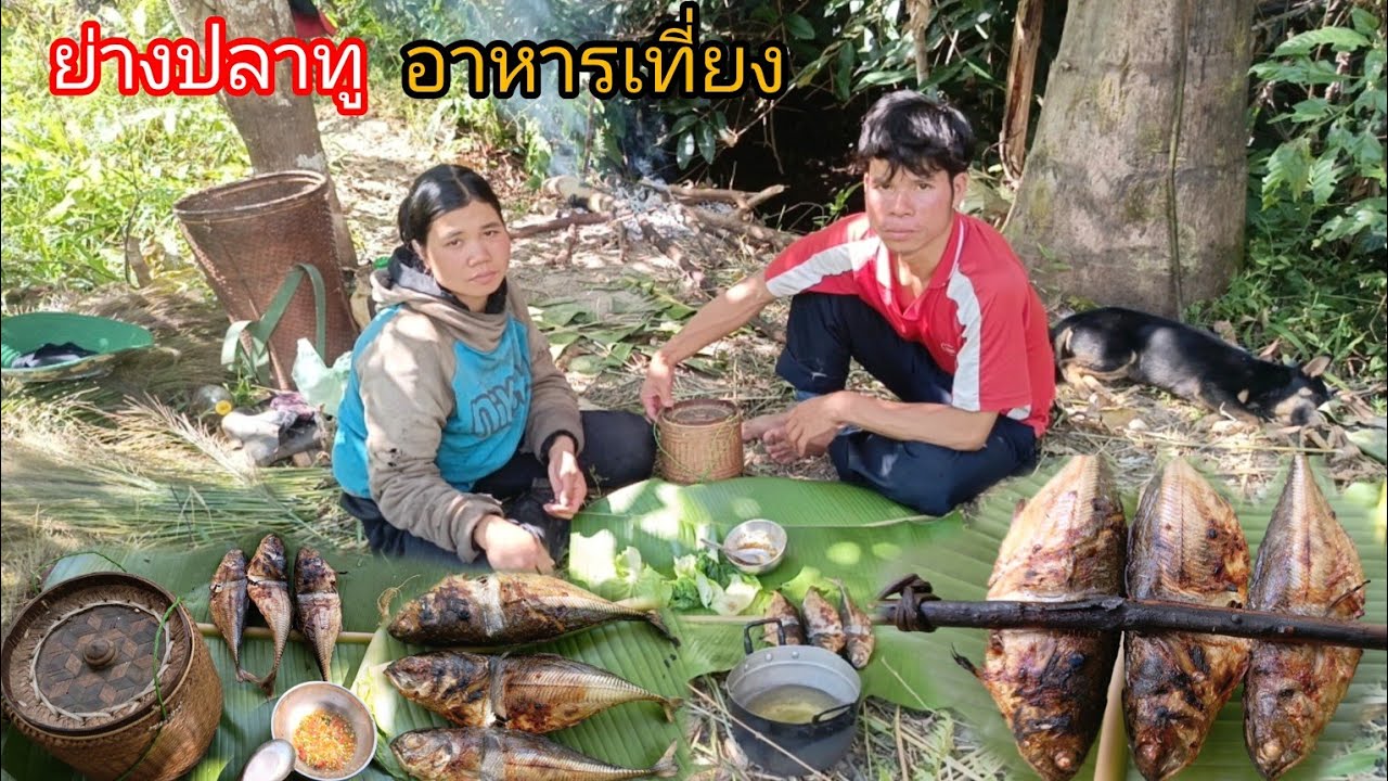 ถางป่าไร่สำเร็จประมาณ70% เอาดอกแขม ย่างปลาทู ลวกผักจ้ำแจ่ว สำหรับอาหารเที่ยง-บ่าวยืง