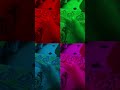colourful magic ✨ #viralvideo #shorts #fun