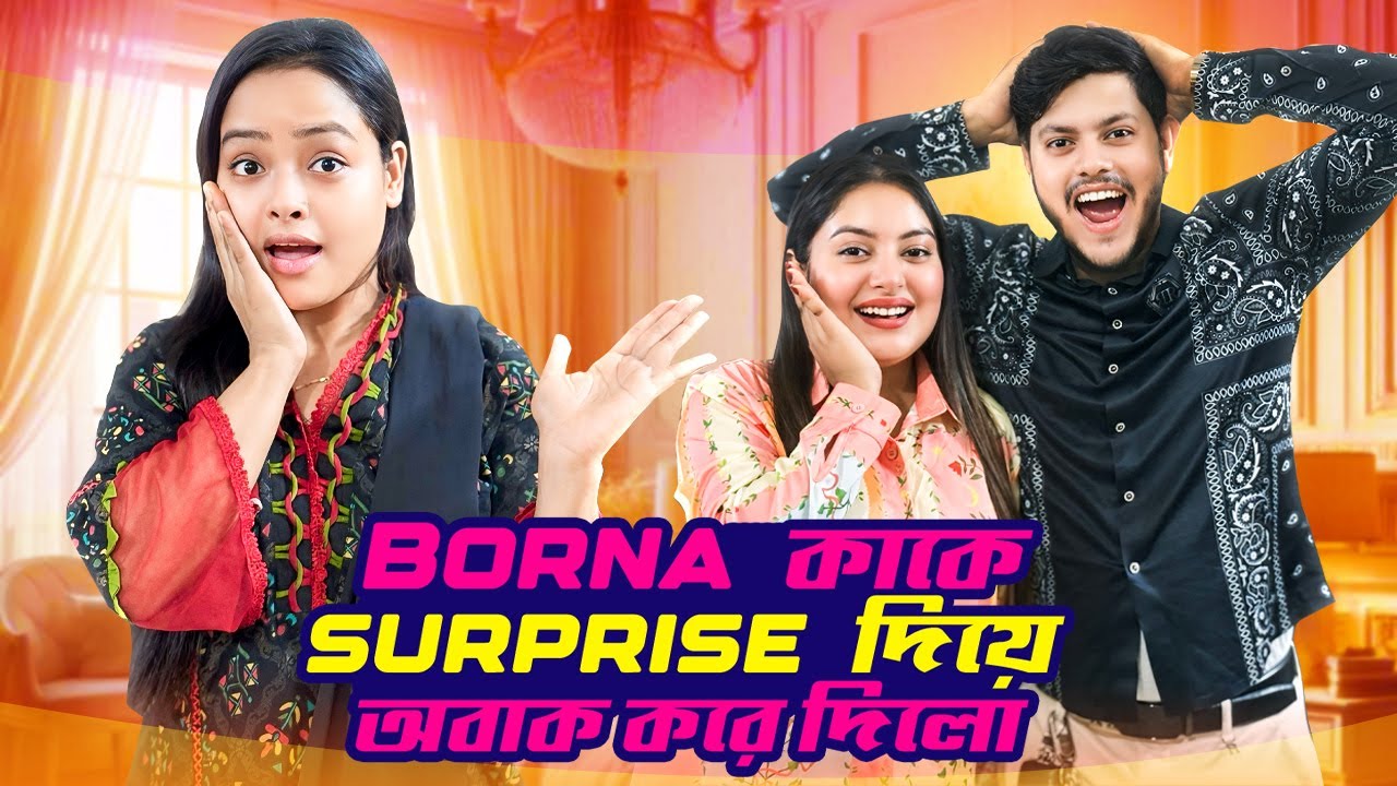 আমি কাকে সারপ্রাইজ দিয়ে অবাক করে দিলাম | DAILY LIFE VLOG | Borna Hossain | Rakib Hossain