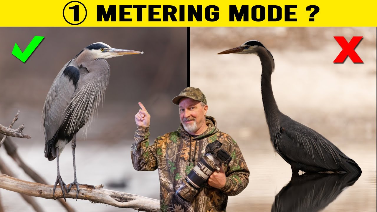 Единственный режим замера экспозиции, который должен использовать каждый фотограф птиц для получе...