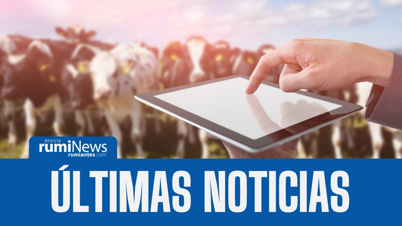 Novedades en el sector ganadero: Flexibilización del CDE y nueva cátedra sobre proteína animal