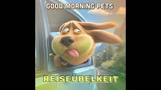 GMP117: Reiseübelkeit beim Hund: Ursachen & Hilfe