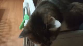 Update on the noise bleed it turns out I am okay Yay 😄