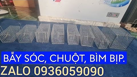Lồng bẫy sóc bông. Lồng bẫy chuột cống nhum. Lồng  bẫy bìm bịp. Lồng bẫy dông cát. Lồng bẫy chồn đèn