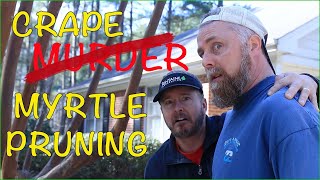 Full DIY CRAPE MYRTLE PRUNING GUIDE | PROPER TREE TRIMMING Update