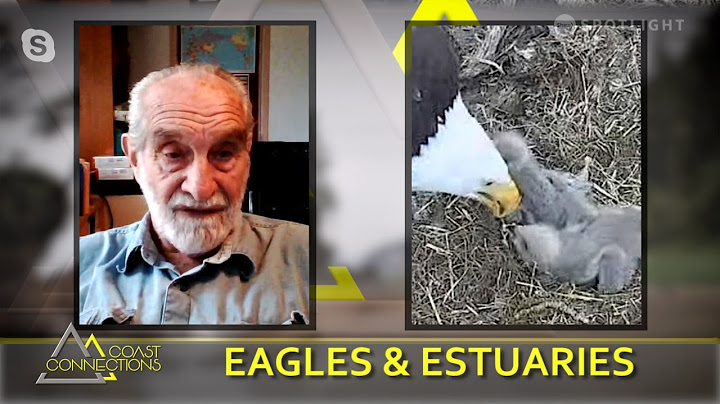 Building The First Eagle Preserve on Vancouver Island - Coast Connections S05E18