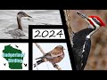 2024 first of the year birding challenge