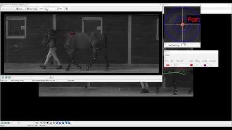 One point digitisation