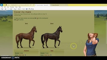 Lets play Howrse! Episode 1: Starting Fresh