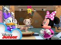 Minnie and Daisy are Pet Groomers 🐶| Mickey Mornings | Mickey Mouse Roadster Racers | Disney Junior