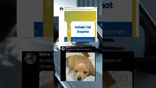 Hâlâ Snap Kullanan Var Mı Ya Şfetküsmüyüz Şfetaçıl