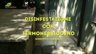 Termonebbiogeno