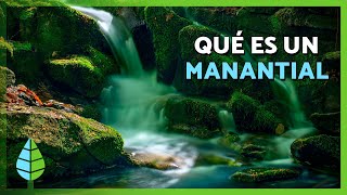 MANANTIALES de AGUA 💦🏞️ | Qué son, cómo se forman e importancia