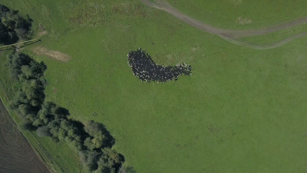 Архыз. 17.09.21. съёмка квадрокоптер.