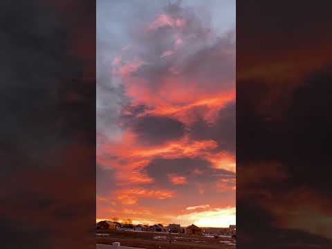 مقطع من الجزء الأول لرواية قصر الشوق قريبا