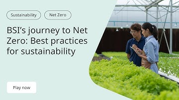 BSI’s Journey to Net Zero: Best Practices for Sustainability
