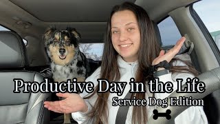 Productive Day in the Life || Service Dog Edition High School