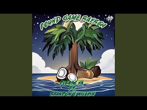 Please Ya (feat. Brandon Pohahau & Will84)