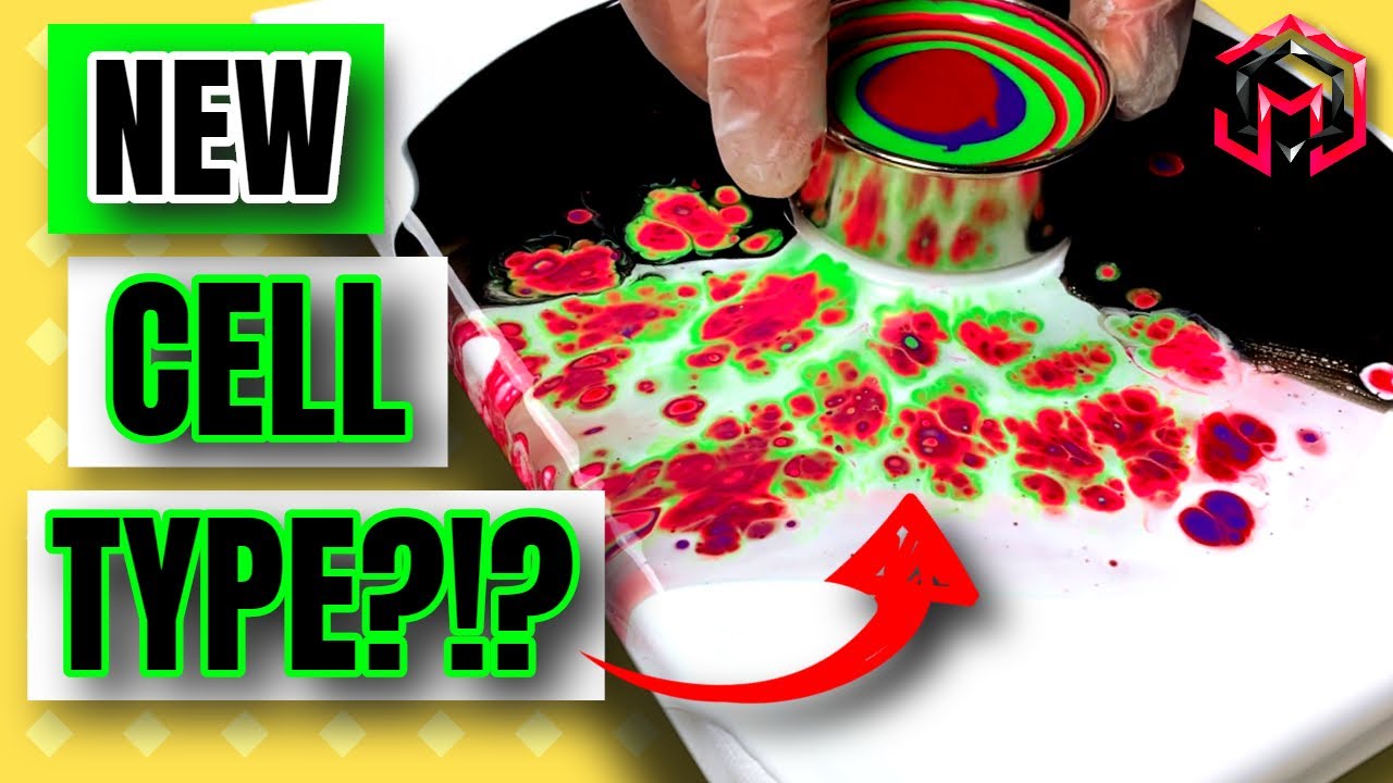Open Cup Acrylic Pour with CELL ACTIVATOR ONLY | MUST SEE!! - YouTube