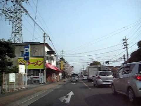 静岡市清水区宮加三の桜
