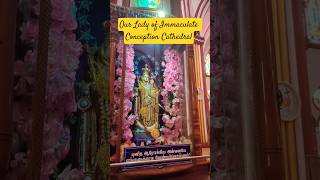 Our Lady of Immaculate Conception Cathedral#puducherry#church#tamilsong#tamilshorts#tamilstatus#love