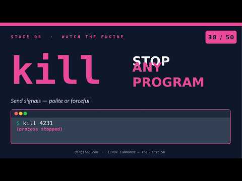 Linux Commands #38 - kill — Stop Any Process in Linux (And Why -9 Is the Last Resort)