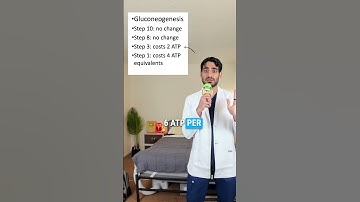 Thumbnail of Master Gluconeogenesis Easily With This Song 🎵 ! #shorts #doctor #medicine