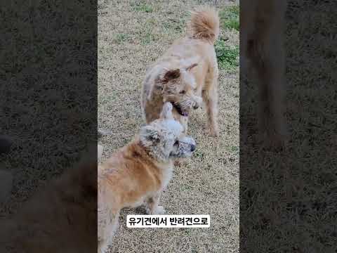마음의 평화를 찾은 베로&amp;amp;<strong>벤지</strong>