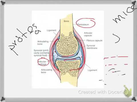 Videó: A NICE Osteoarthritis Irányelveinek átvétele Az Alapellátásban: Felmérés Az ízületi Fájdalomban Szenvedő Idősebb Felnőttekről