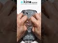 Повторить это видео можно на Aikino.space - переходи и создавай ИИ креативы #нейросеть