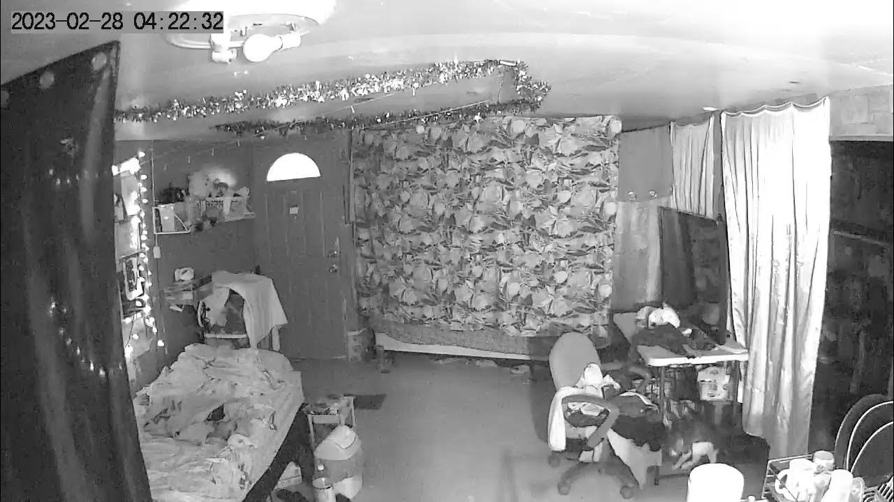 DOOR KNOB RATTLING YouTube door-knob-rattling-youtube