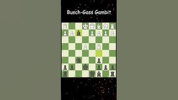 Busch–Gass Gambit: Checkmate in Style! ♟️🔥#chess #checkmate