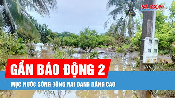 Mực nước sông Đồng Nai dâng cao, nhiều nơi có nguy cơ ngập lụt