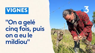 Les vins de Branceilles en grand danger en Corrèze