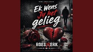 Ek wens jy het gelieg